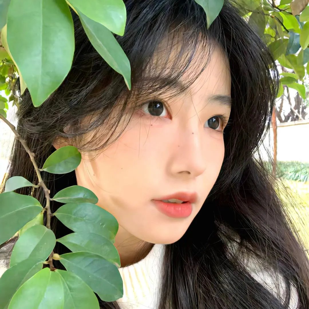 盲柳与沉睡的女人